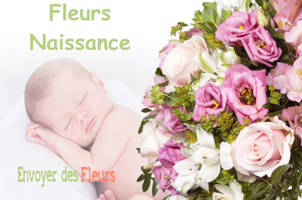 lIVRAISON FLEURS NAISSANCE à DOMPIERRE-SUR-MONT